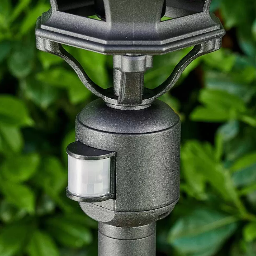 hofstein Lampes Extérieures Avec Detecteur>Lampadaire Exterieur Lentua Noir, 1 Lumiere, Detecteur De Mouvement