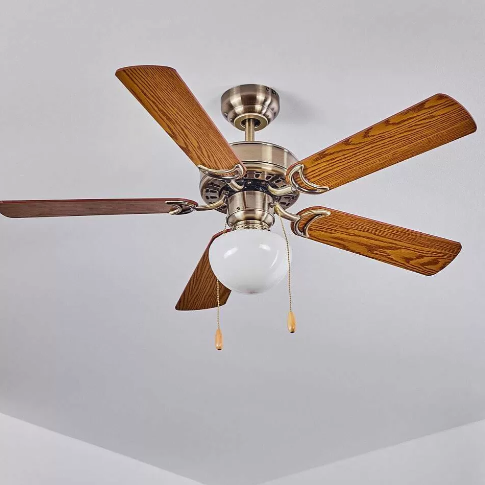 hofstein Plafonniers Et Lustres Ventilateurs>Ventilateur De Plafond Apiao Brun, Brun Clair, Couleur Bois, Argente, 1 Lumiere