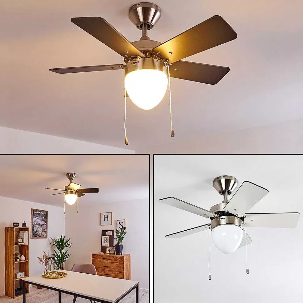 hofstein Plafonniers Et Lustres Ventilateurs>Ventilateur De Plafond Ellmau Chrome, Gris, Blanc, 1 Lumiere