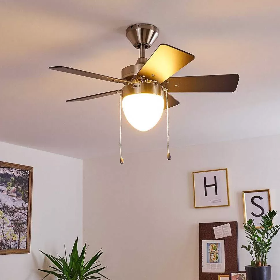 hofstein Plafonniers Et Lustres Ventilateurs>Ventilateur De Plafond Ellmau Chrome, Gris, Blanc, 1 Lumiere